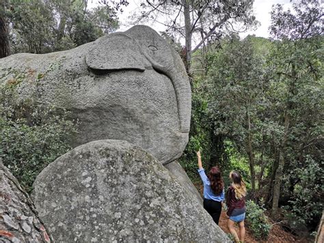 El Bosque Encantado de Orrius, Barcelona: cómo llegar,…